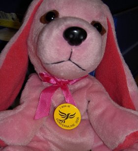 I was at Dunfermline 2006 badge on Pink Dog