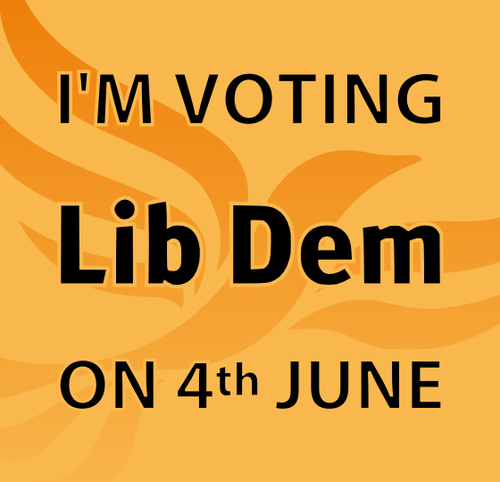 Lib Dem Virtual Poster 2009 Elections