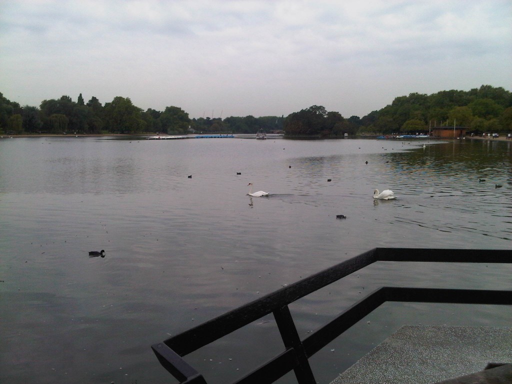 View out over the water from Serpentine Bar and Kitchen, London