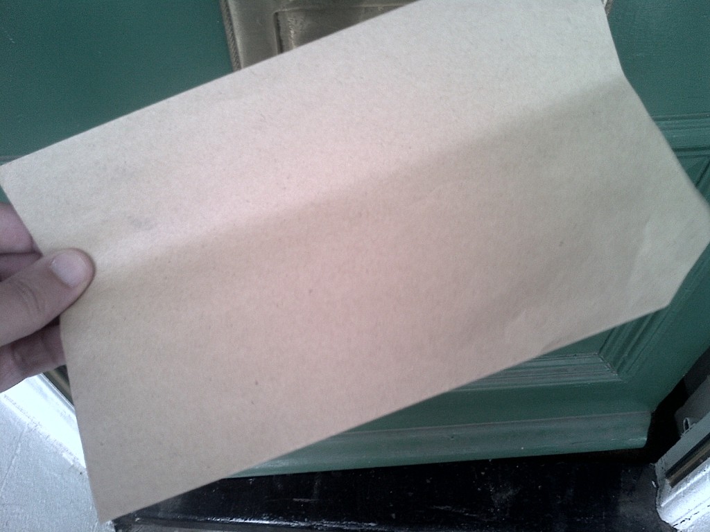Kingston Lib Dems: brown envelope