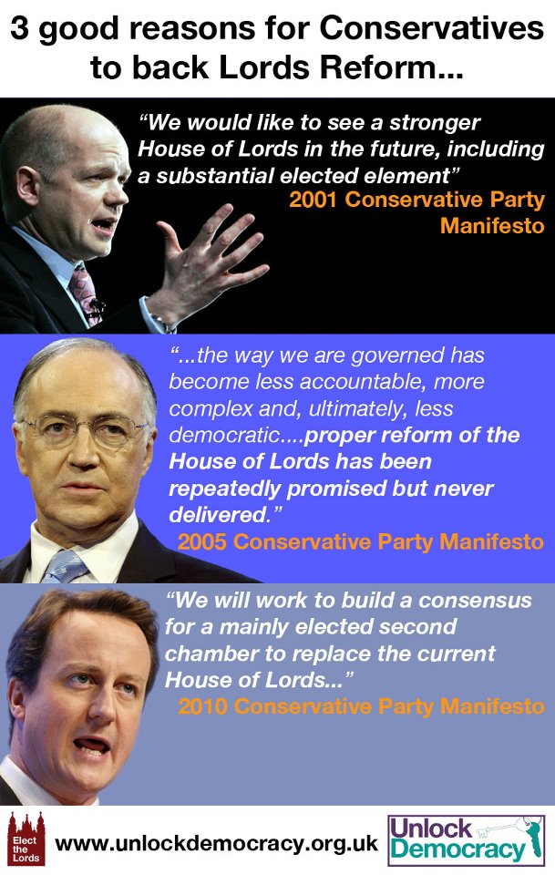 Unlock Democracy - Lords reform graphic