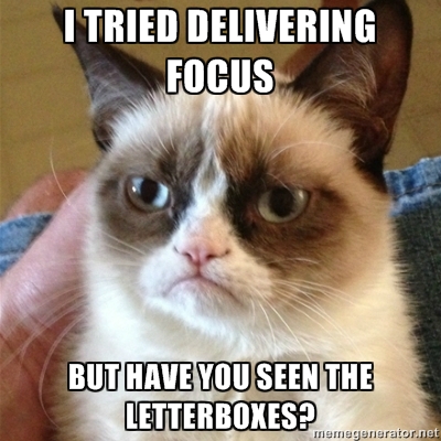 Grumpy Cat on Focus delivery