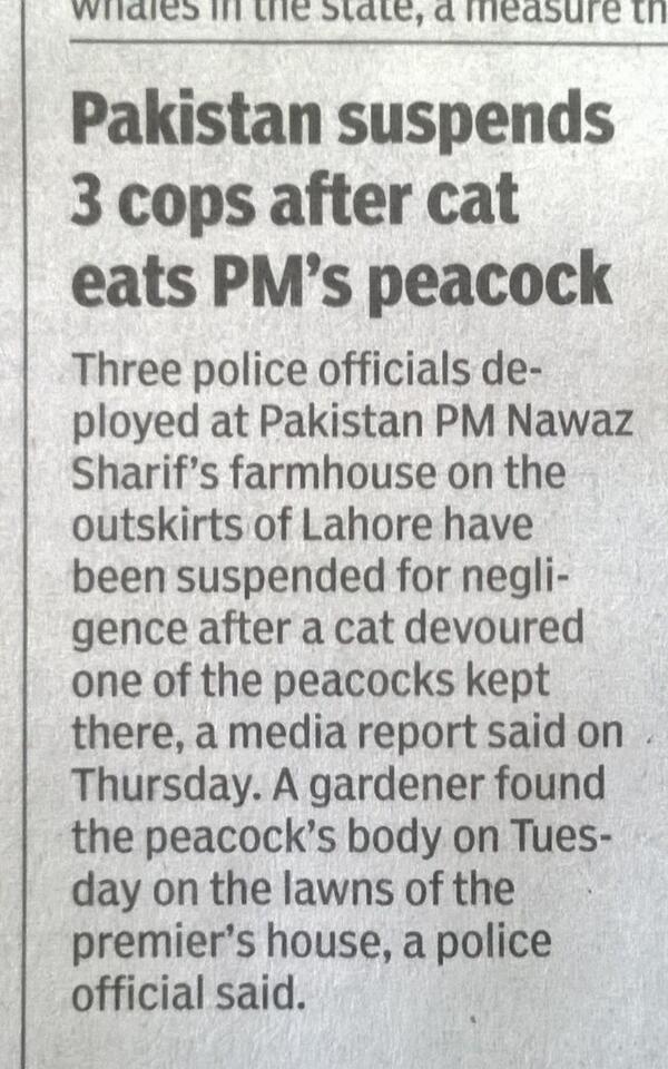 Pakistan news story