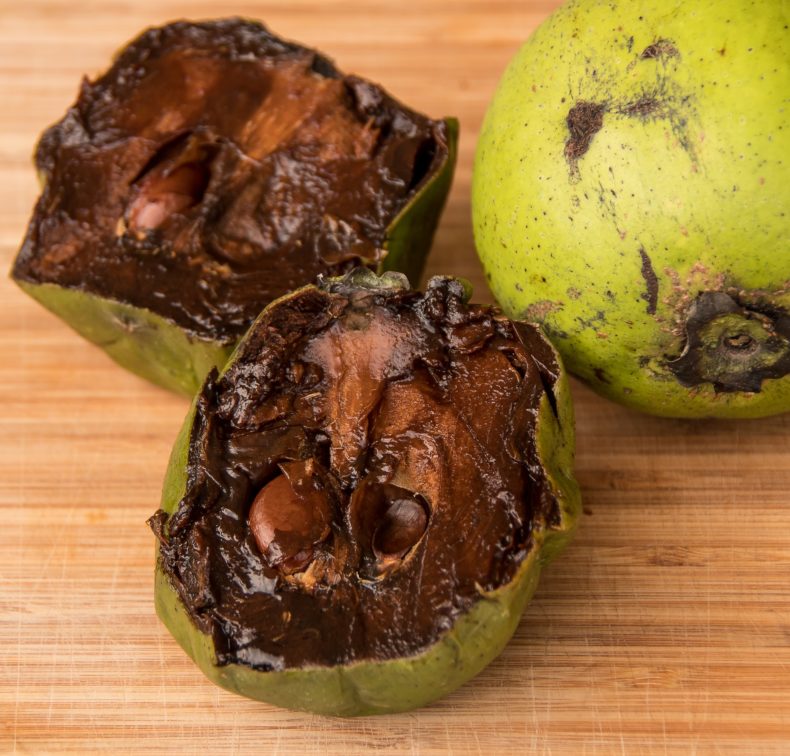 Black Sapote - the fruit which tastes like chocolate pudding
