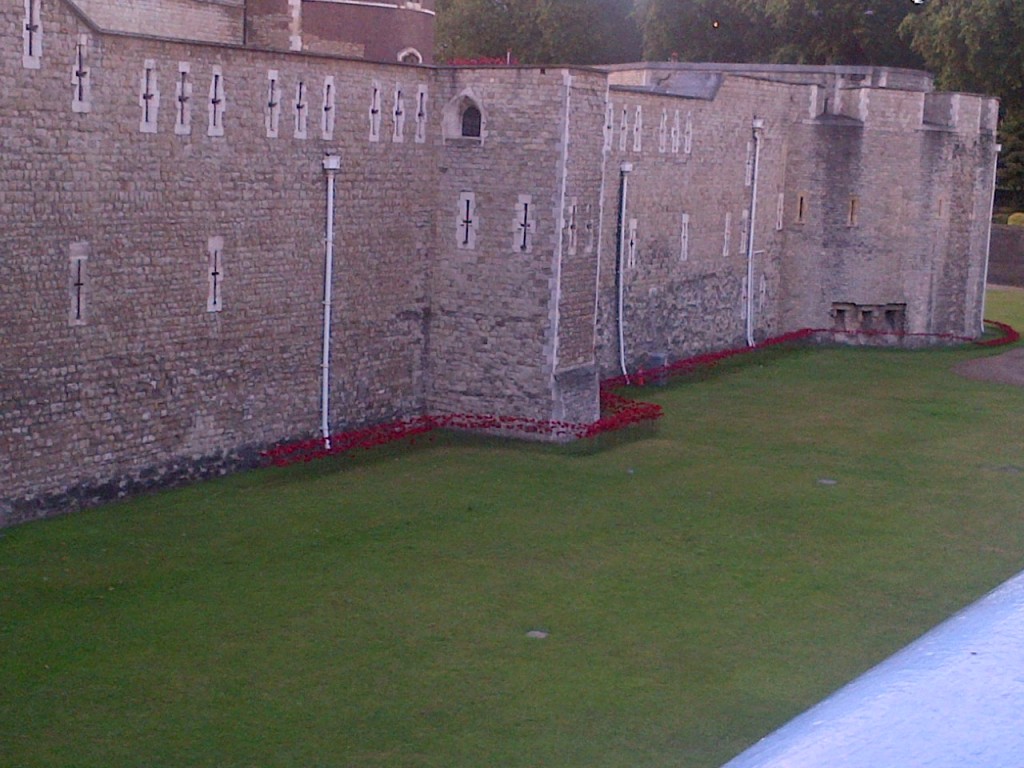 Ceramic poppies at the Tower of London - art installation by Paul Cummins to mark start of the First World War