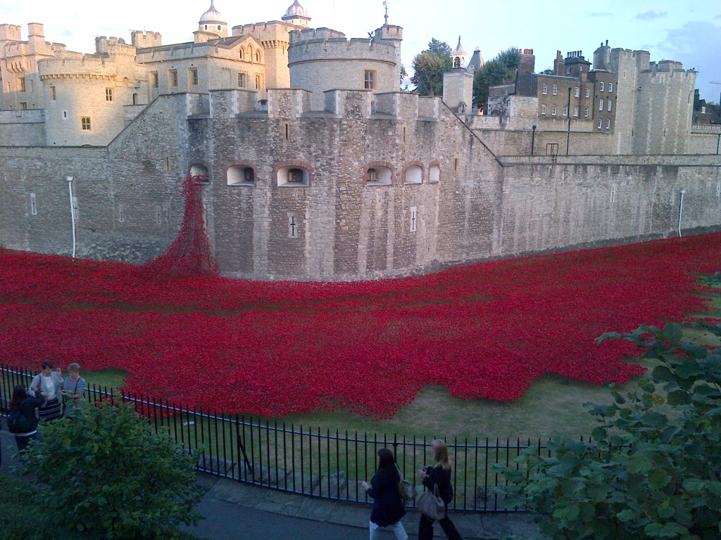 Ceramic poppies at the Tower of London - art installation by Paul Cummins to mark start of the First World War