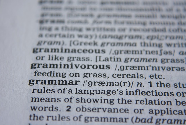 Grammar page from a dictionary