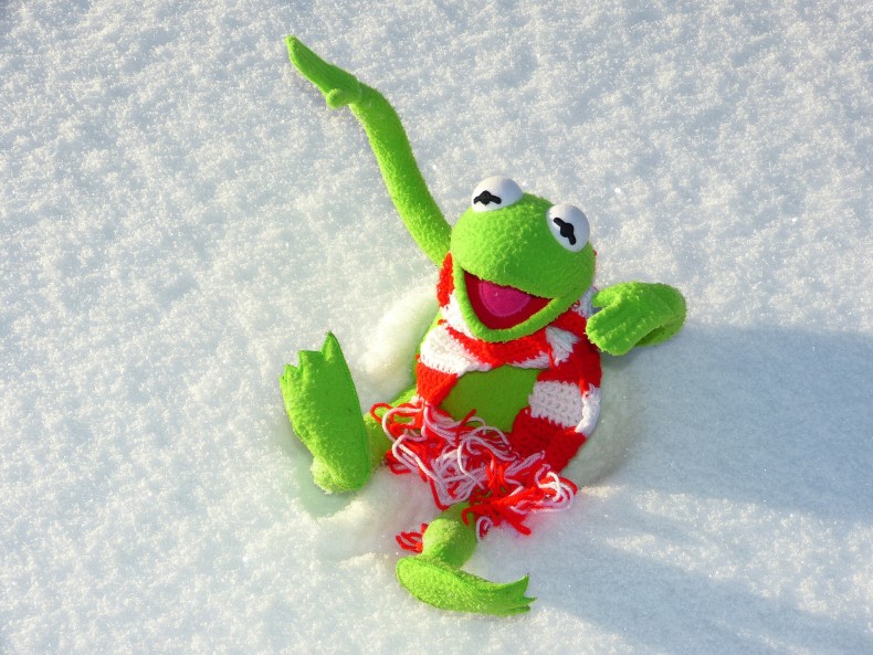 Kermit the Frog in the snow - CC0 Public Domain