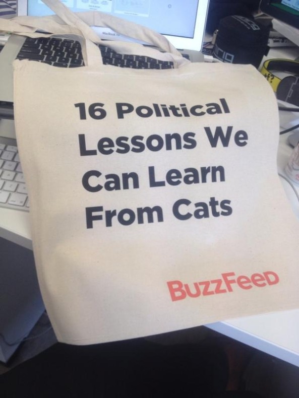 BuzzFeed politics and cats bag