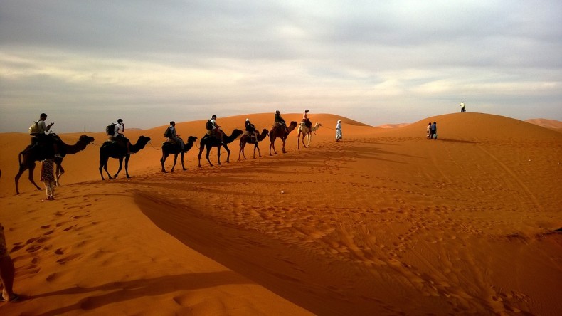 Long-time readers will know it is now traditional to illustrate posts like these with camels.