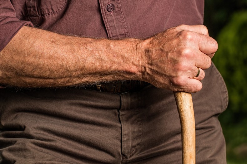 Person holding a walking stick