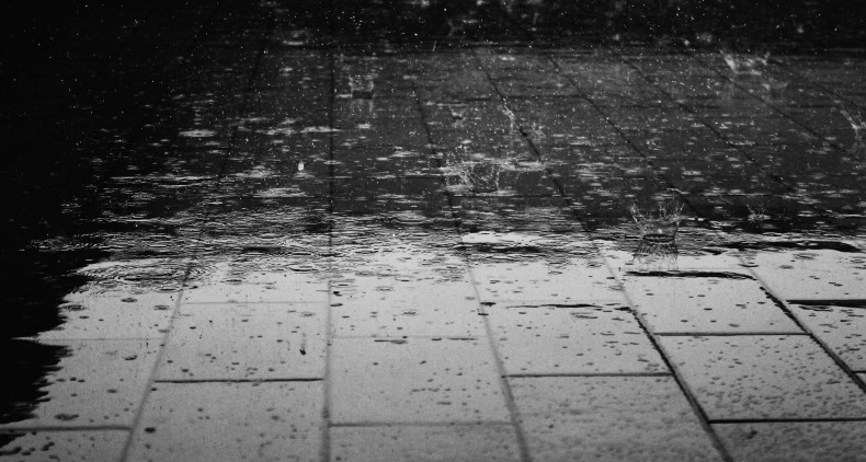 Rain. CC0 Public Domain