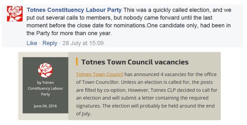 Totnes Labour Party screenshot