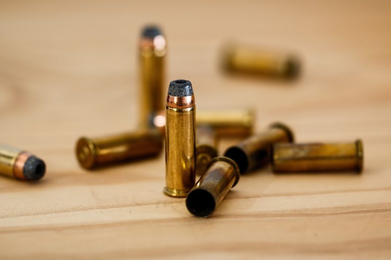 Bullet Cases CC0 Public Domain