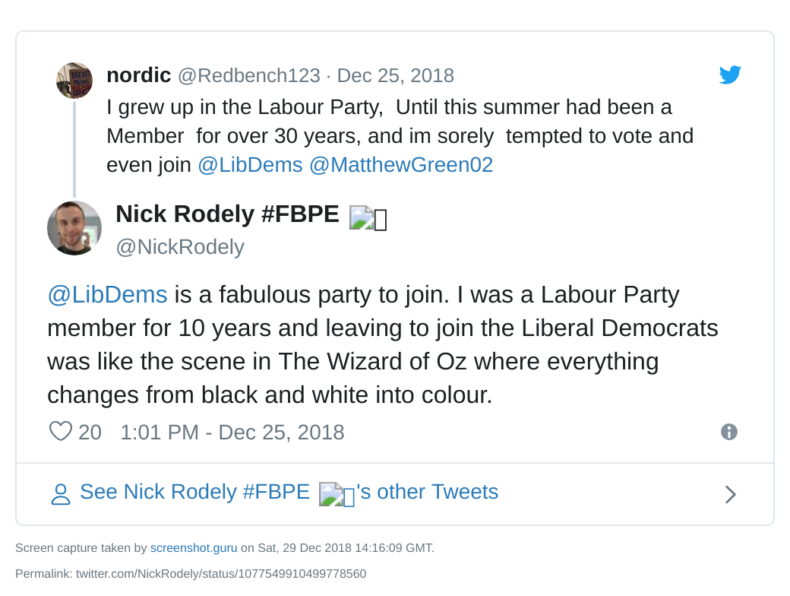 Joining the Lib Dems is like a scene from the Wizard of Oz