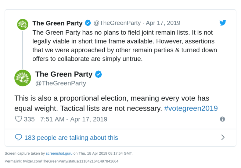 Green Party rejects Euro election cooperation