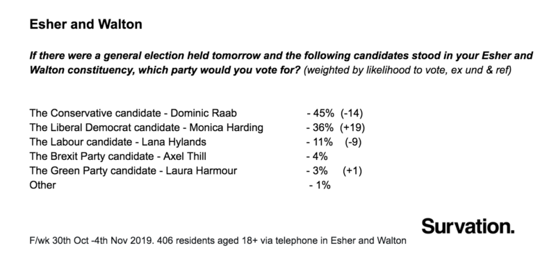 Survation opinion poll for Esher and Walton constituency