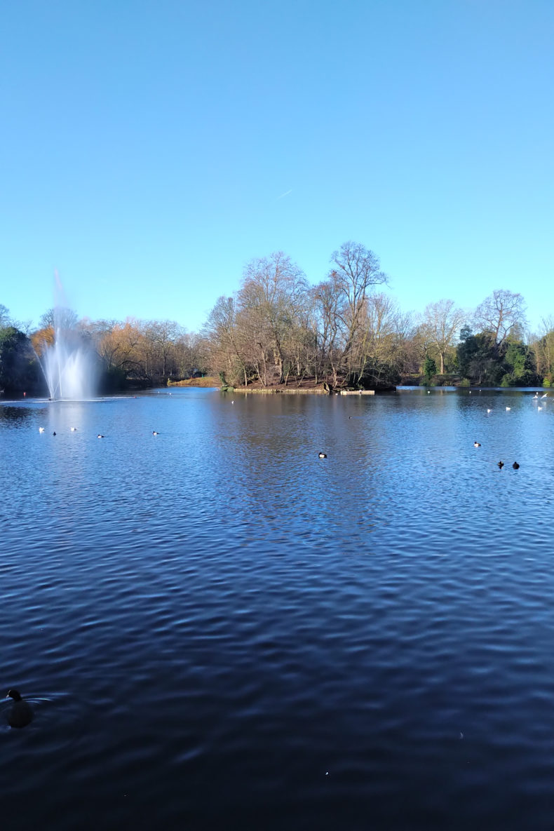 View from Pavilion Cafe - Victoria Park - Hackney