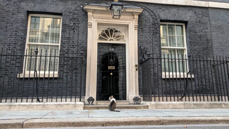 Larry the Cat outside 10 Downing Street